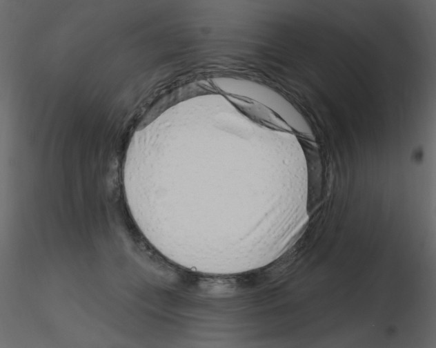 X0000115810559200912241916
