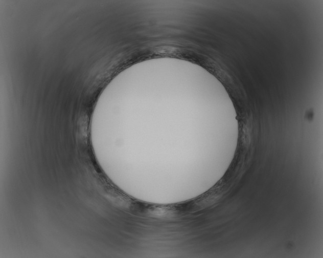 X0000115810561200912241916