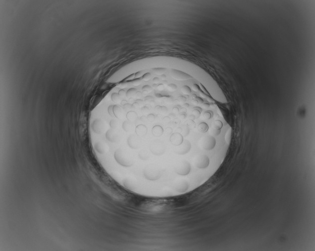 X0000115810563200912241916