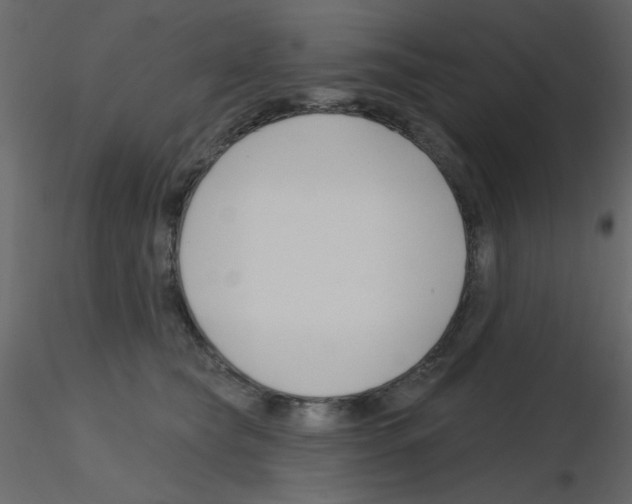 X0000115810565200912241916