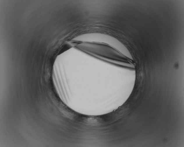 X0000115810566200912241916