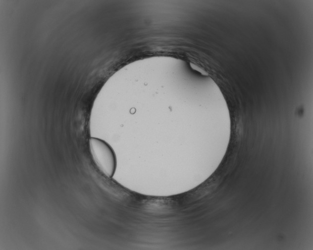 X0000115810567200912241916