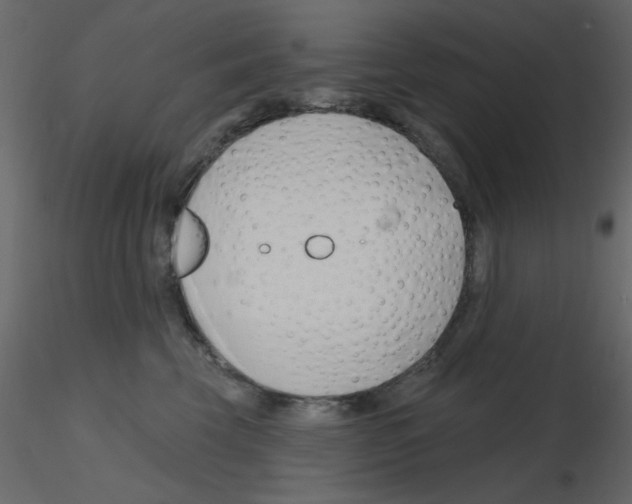 X0000115810569200912241916