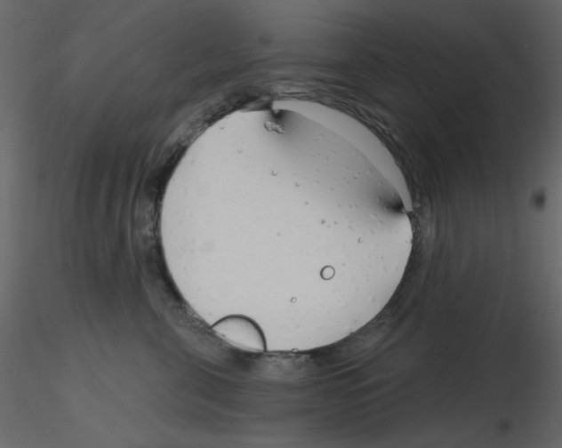 X0000115810571200912241916