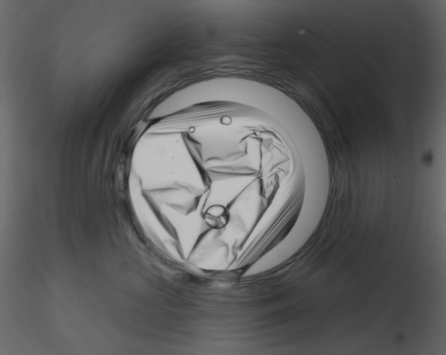 X0000115810573200912241916