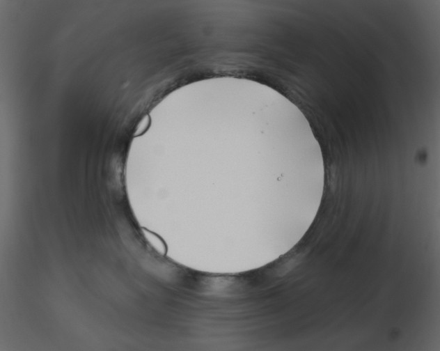 X0000115810575200912241916