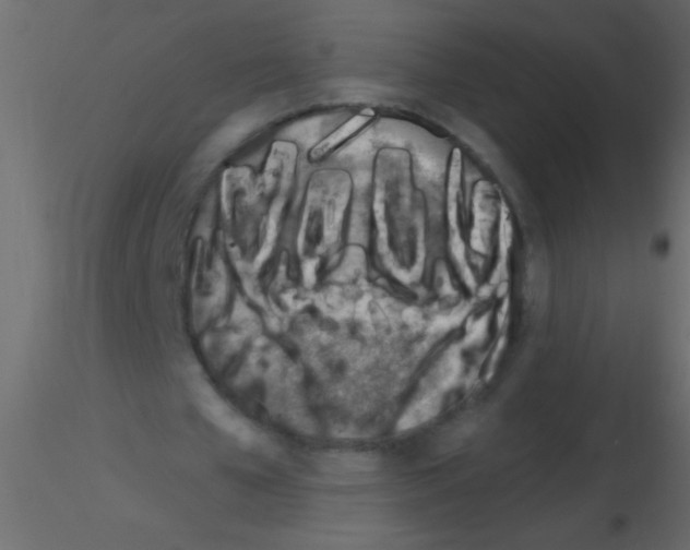 X0000115810577200912241916