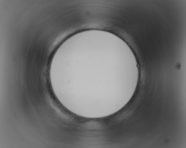 X0000115810578200912241916