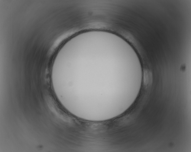 X0000115810579200912241916