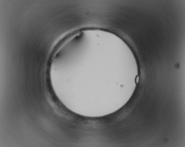 X0000115810580200912241916