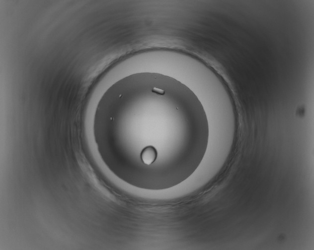 X0000115810581200912241916