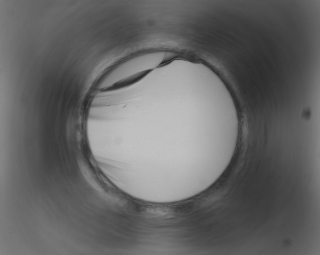 X0000115810582200912241916