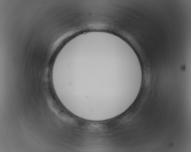 X0000115810583200912241916