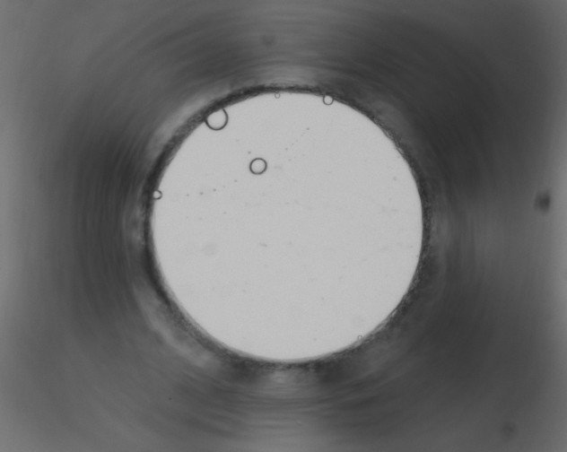 X0000115810584200912241916