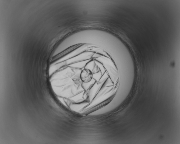 X0000115810585200912241916