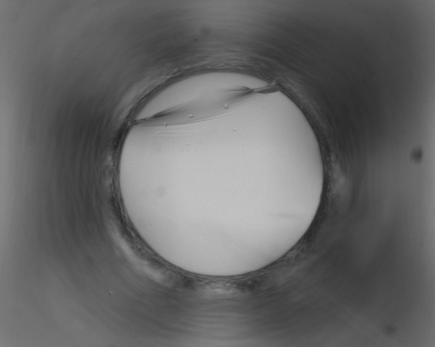 X0000115810586200912241916