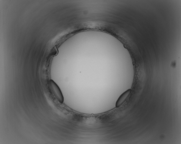 X0000115810587200912241916