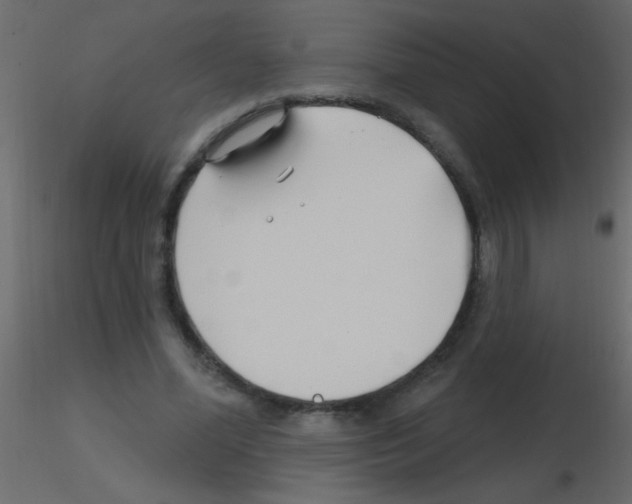 X0000115810588200912241916