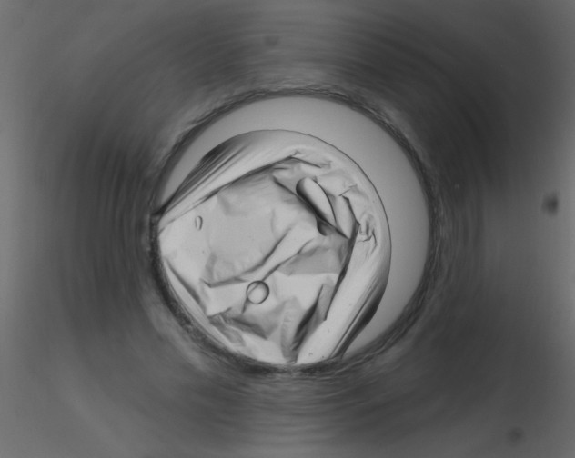 X0000115810589200912241916