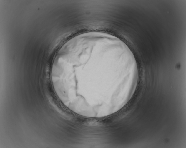 X0000115810590200912241916
