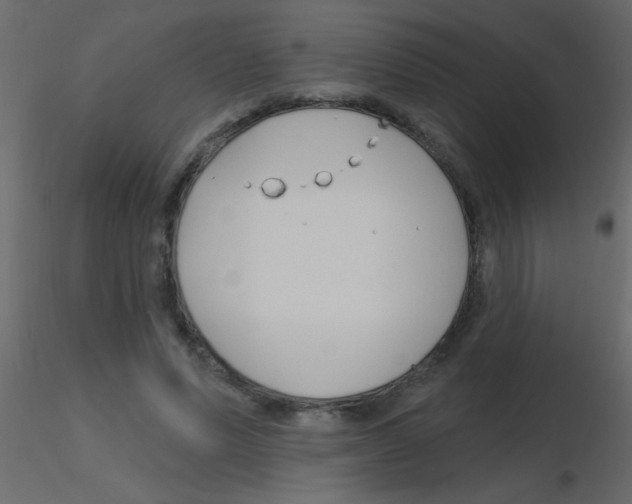 X0000115810591200912241916