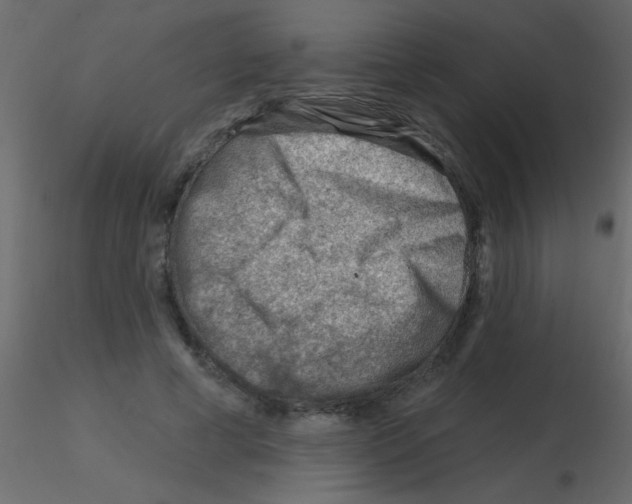 X0000115810593200912241916
