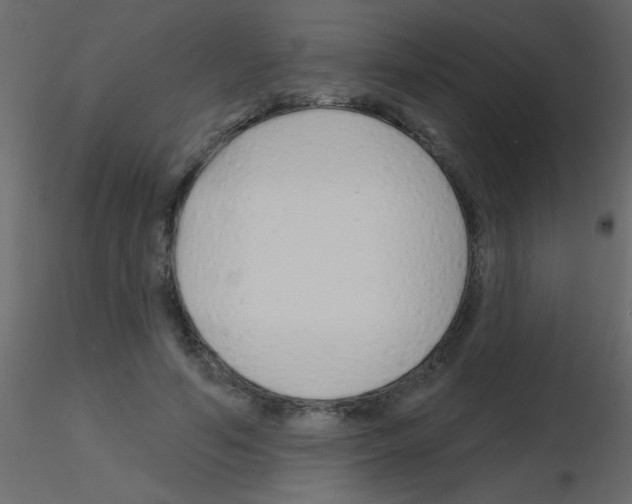 X0000115810594200912241916