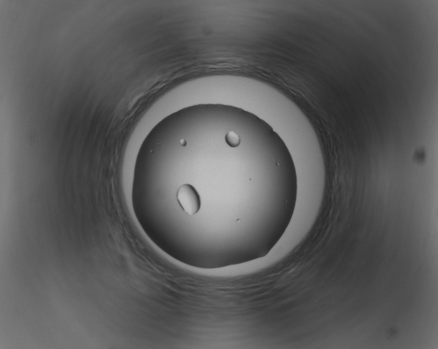 X0000115810595200912241916
