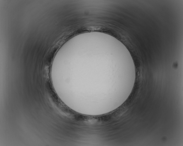 X0000115810598200912241916