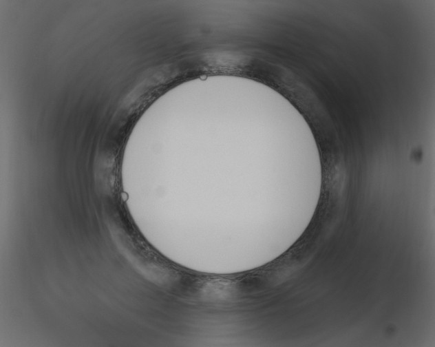 X0000115810599200912241916