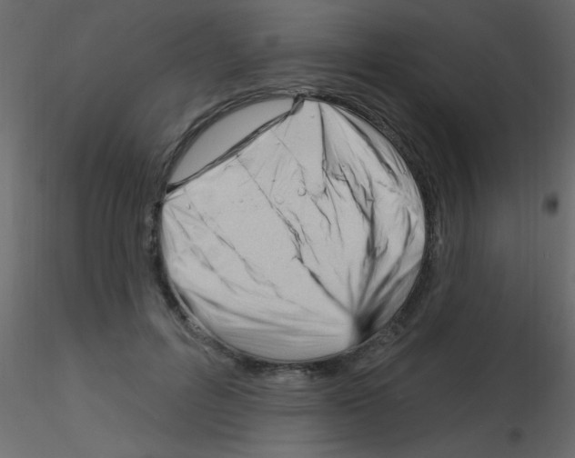 X0000115810600200912241916