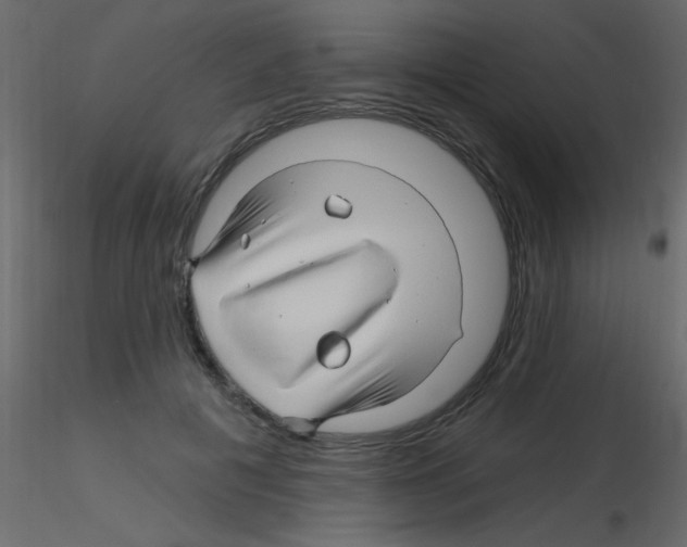 X0000115810601200912241916
