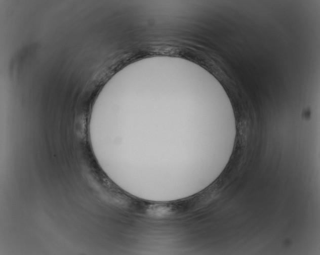 X0000115810602200912241915