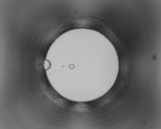 X0000115810603200912241915