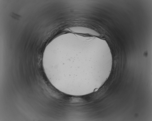 X0000115810605200912241915