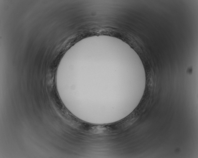 X0000115810607200912241915