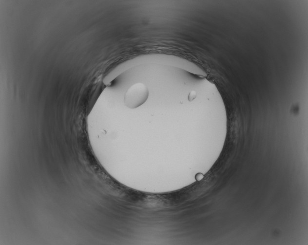 X0000115810608200912241915