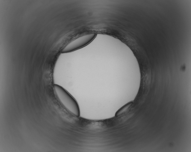 X0000115810609200912241915