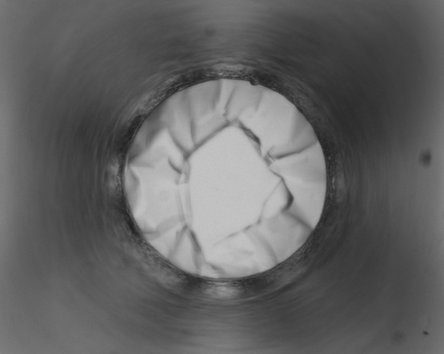 X0000115810610200912241915