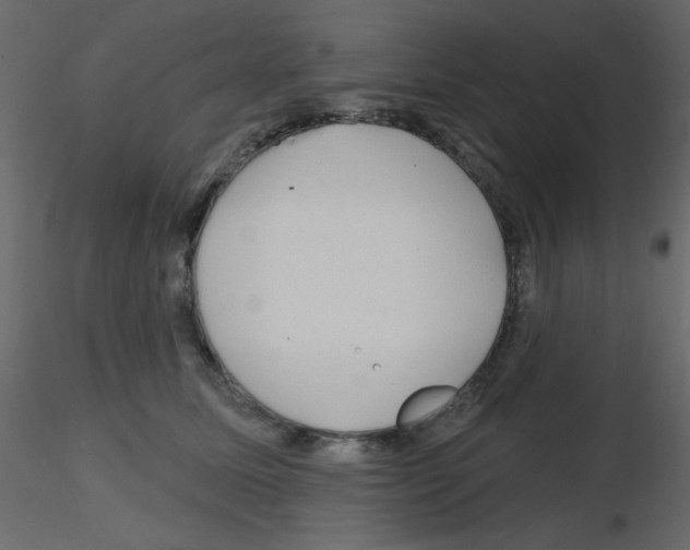 X0000115810611200912241915