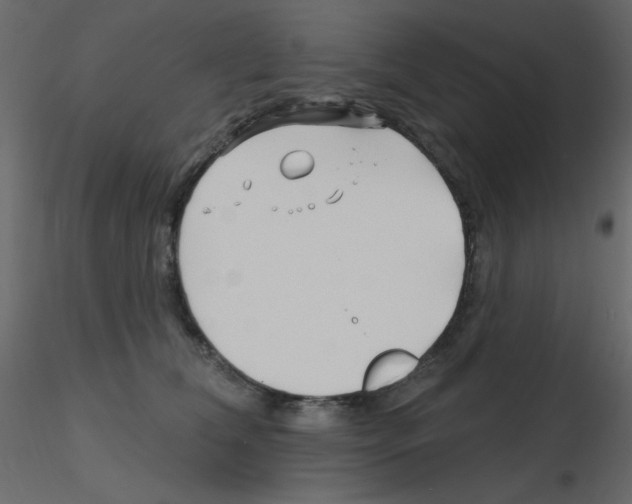 X0000115810612200912241915