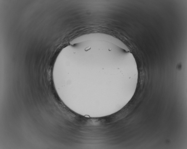X0000115810613200912241915