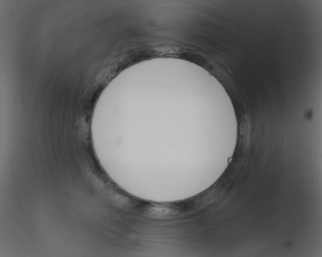 X0000115810614200912241915