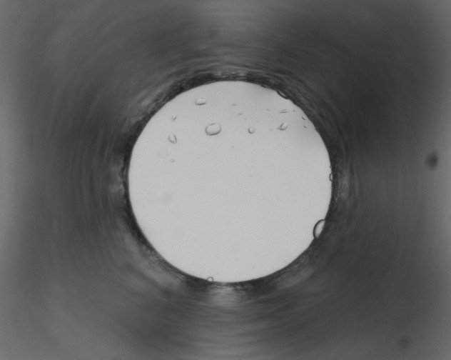 X0000115810616200912241915