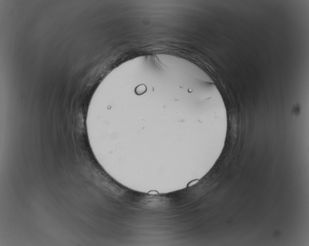 X0000115810617200912241915