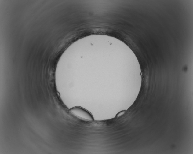 X0000115810619200912241915