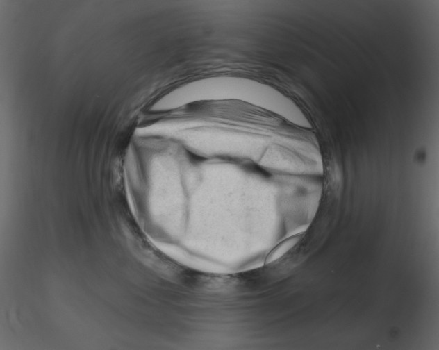 X0000115810621200912241915