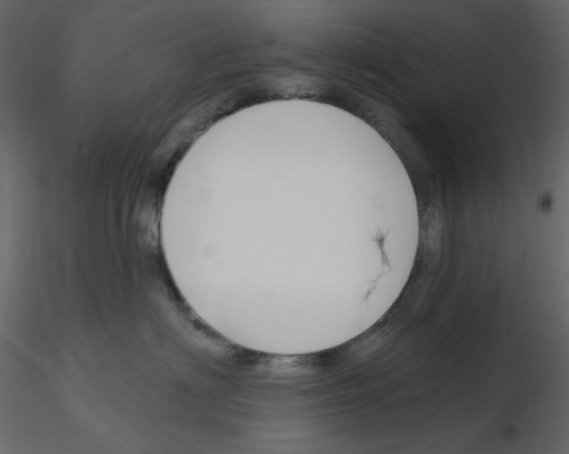 X0000115810622200912241915