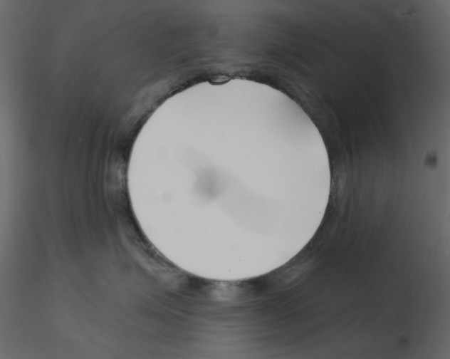 X0000115810623200912241915