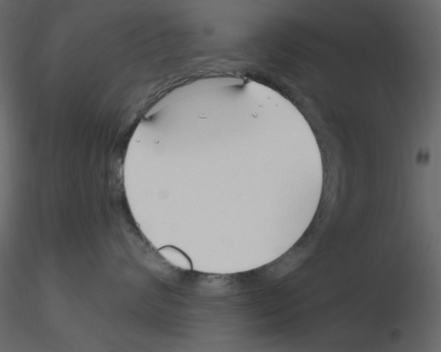 X0000115810624200912241915